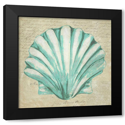 Seafoam Shell II Black Modern Wood Framed Art Print with Double Matting by Zarris, Chariklia