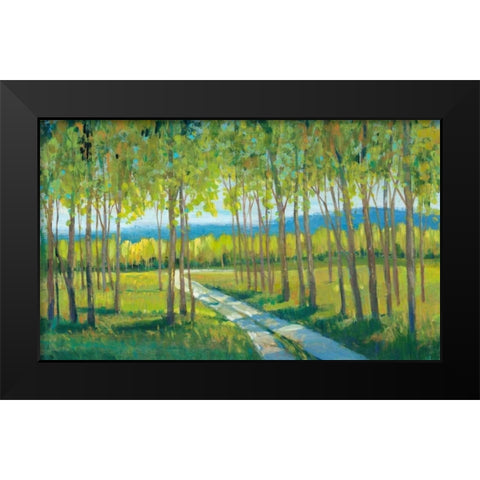 Morning Stroll II Black Modern Wood Framed Art Print by OToole, Tim