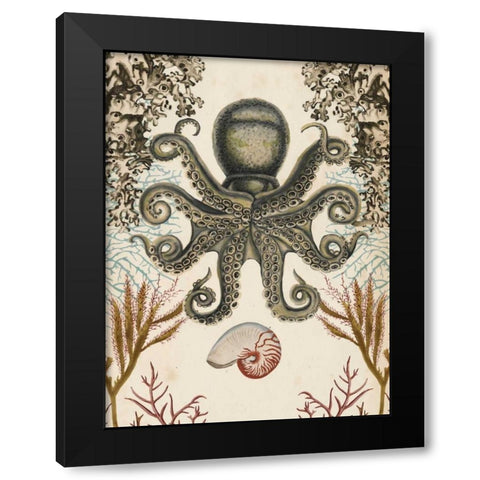 Antiquarian Menagerie - Octopus Black Modern Wood Framed Art Print with Double Matting by McCavitt, Naomi