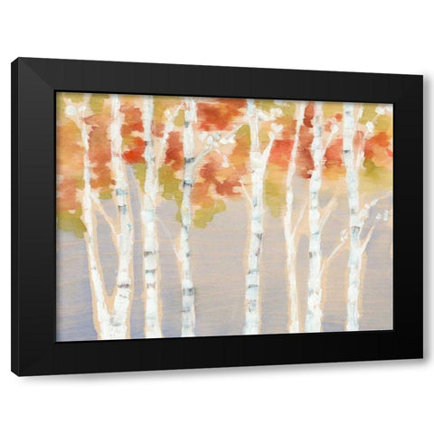 Swaying Birches I Black Modern Wood Framed Art Print with Double Matting by Goldberger, Jennifer