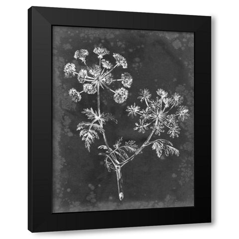 Slate Floral I Black Modern Wood Framed Art Print with Double Matting by Harper, Ethan