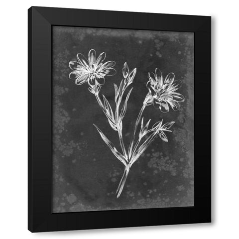 Slate Floral IV Black Modern Wood Framed Art Print with Double Matting by Harper, Ethan