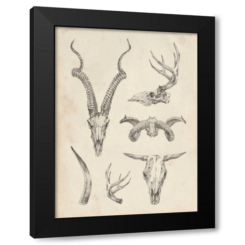 Skull and Antler Study I Black Modern Wood Framed Art Print with Double Matting by Harper, Ethan
