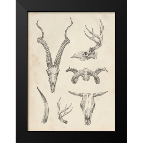 Skull and Antler Study I Black Modern Wood Framed Art Print by Harper, Ethan