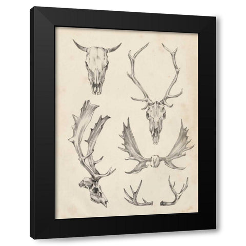 Skull and Antler Study II Black Modern Wood Framed Art Print with Double Matting by Harper, Ethan