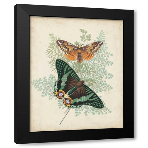 Butterflies and Ferns I Black Modern Wood Framed Art Print with Double Matting by Vision Studio