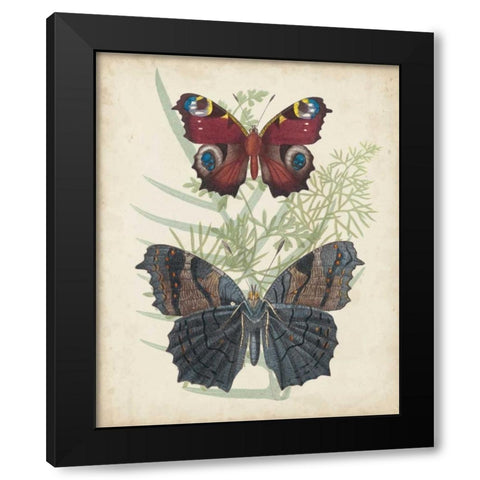 Butterflies and Ferns III Black Modern Wood Framed Art Print with Double Matting by Vision Studio