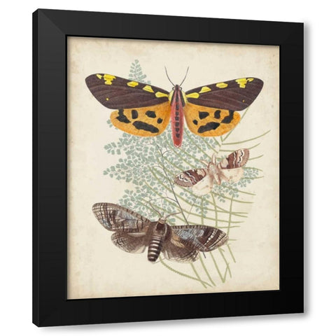 Butterflies and Ferns VI Black Modern Wood Framed Art Print by Vision Studio