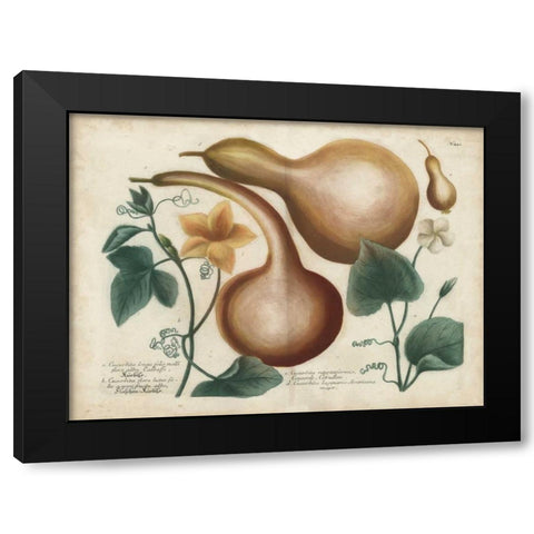 Exotic Weinmann Botanical I Black Modern Wood Framed Art Print by Weinmann
