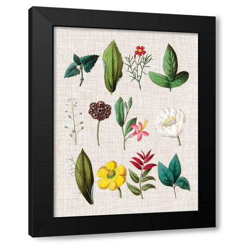 Floral Assemblage II Black Modern Wood Framed Art Print by Vision Studio