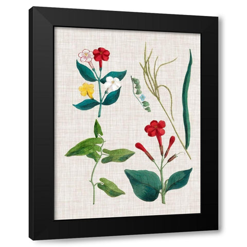 Floral Assemblage III Black Modern Wood Framed Art Print with Double Matting by Vision Studio