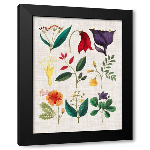 Floral Assemblage IV Black Modern Wood Framed Art Print with Double Matting by Vision Studio