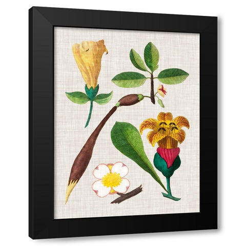 Floral Assemblage V Black Modern Wood Framed Art Print with Double Matting by Vision Studio