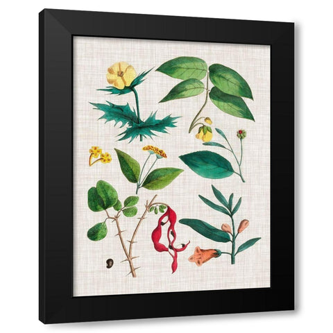 Floral Assemblage VI Black Modern Wood Framed Art Print by Vision Studio