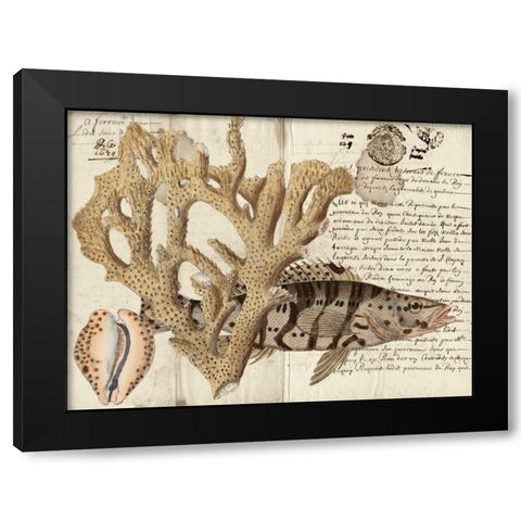 Sealife Journal II Black Modern Wood Framed Art Print by Vision Studio