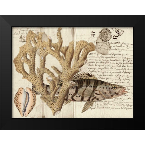 Sealife Journal II Black Modern Wood Framed Art Print by Vision Studio