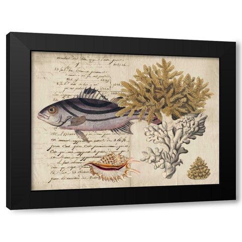 Sealife Journal III Black Modern Wood Framed Art Print with Double Matting by Vision Studio