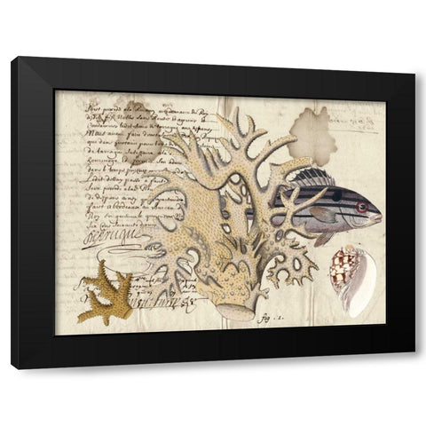 Sealife Journal IV Black Modern Wood Framed Art Print by Vision Studio