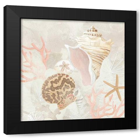 Shell Collector Fresco I Black Modern Wood Framed Art Print with Double Matting by Vess, June Erica