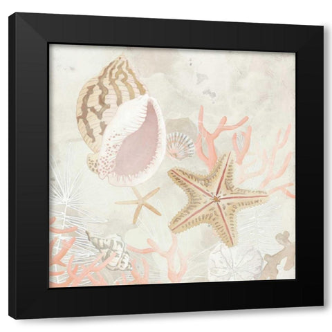 Shell Collector Fresco II Black Modern Wood Framed Art Print with Double Matting by Vess, June Erica