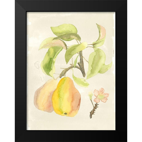 Custom Watercolor Fruit III (ASH) Black Modern Wood Framed Art Print by McCavitt, Naomi
