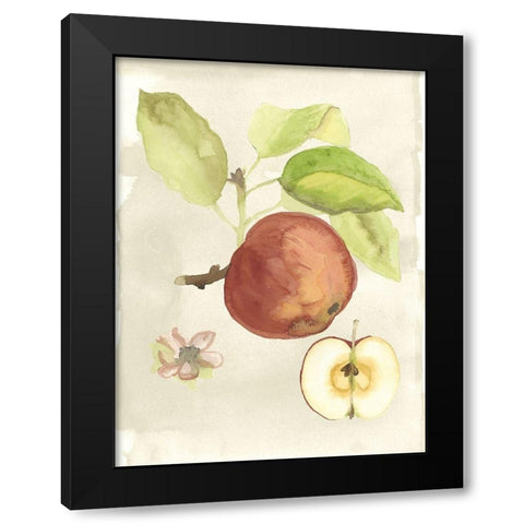 Custom Watercolor Fruit IV (ASH) Black Modern Wood Framed Art Print with Double Matting by McCavitt, Naomi