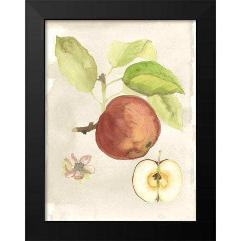 Custom Watercolor Fruit IV (ASH) Black Modern Wood Framed Art Print by McCavitt, Naomi