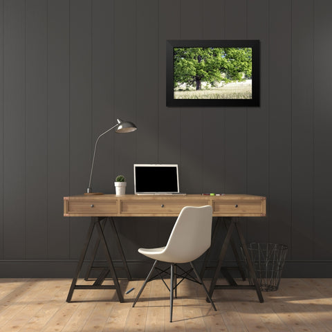 Tree in Summer Black Modern Wood Framed Art Print by Head, Danny