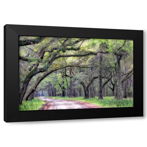 Dirt Road I Black Modern Wood Framed Art Print with Double Matting by Head, Danny