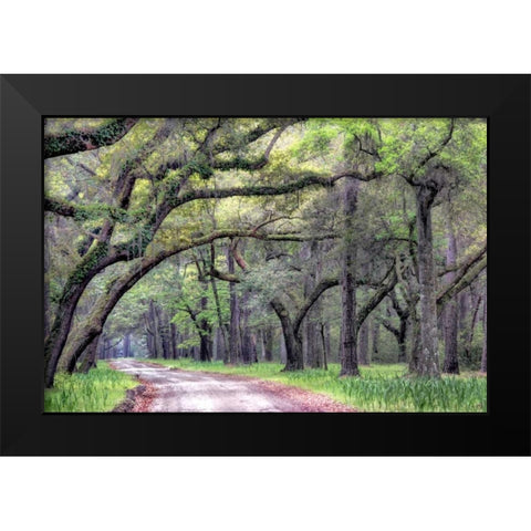 Dirt Road I Black Modern Wood Framed Art Print by Head, Danny
