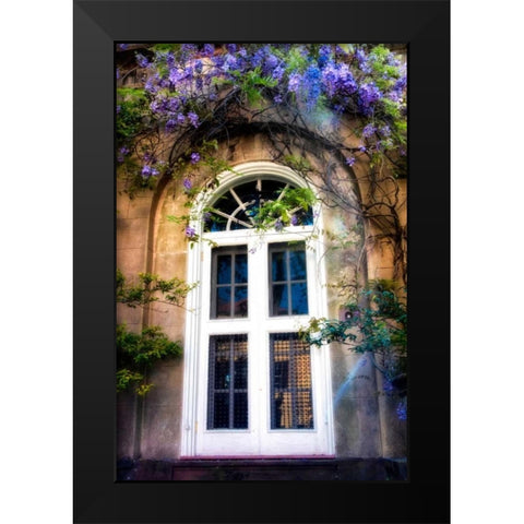 Wisteria Black Modern Wood Framed Art Print by Head, Danny