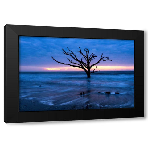 All that Remains Black Modern Wood Framed Art Print by Head, Danny