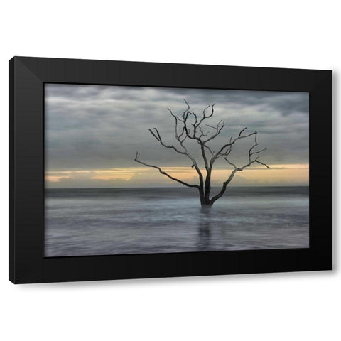 Gray Skies Black Modern Wood Framed Art Print with Double Matting by Head, Danny