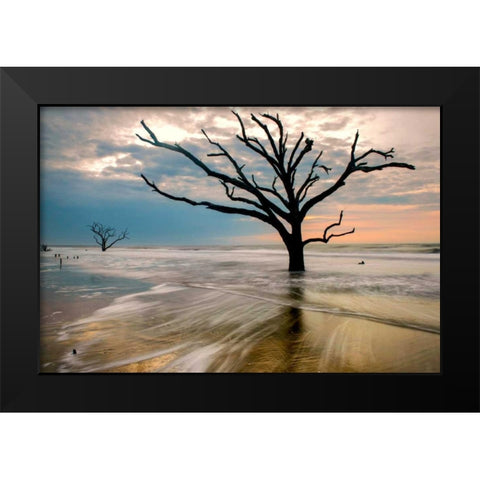 Hangin On Black Modern Wood Framed Art Print by Head, Danny