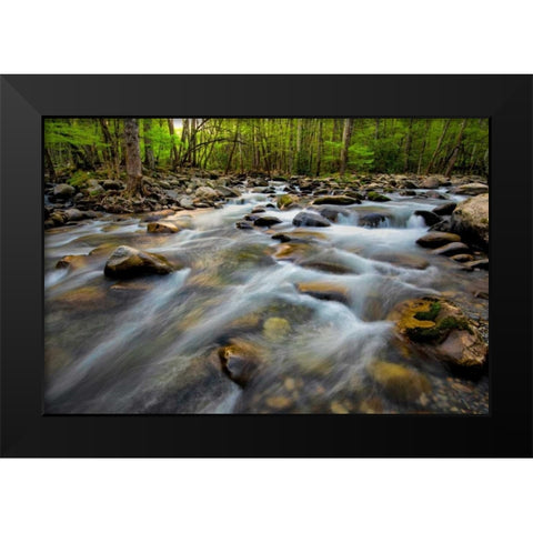 Golden Flow Black Modern Wood Framed Art Print by Head, Danny