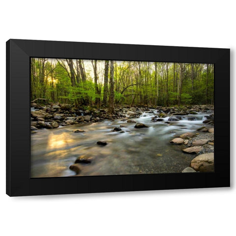 Morning Sunshine I Black Modern Wood Framed Art Print with Double Matting by Head, Danny