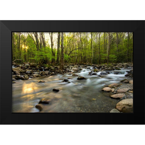 Morning Sunshine I Black Modern Wood Framed Art Print by Head, Danny