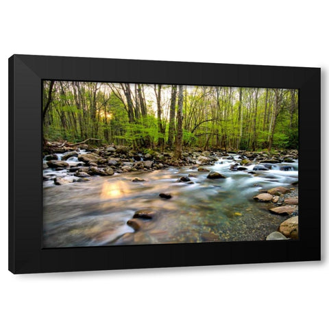 Morning Sunshine II Black Modern Wood Framed Art Print with Double Matting by Head, Danny