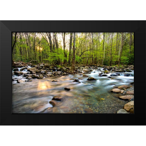 Morning Sunshine II Black Modern Wood Framed Art Print by Head, Danny