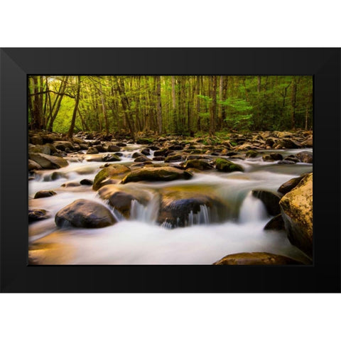 Warm Morning Light Black Modern Wood Framed Art Print by Head, Danny