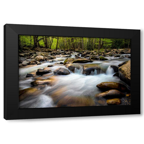 Spring on Porters Creek Black Modern Wood Framed Art Print by Head, Danny