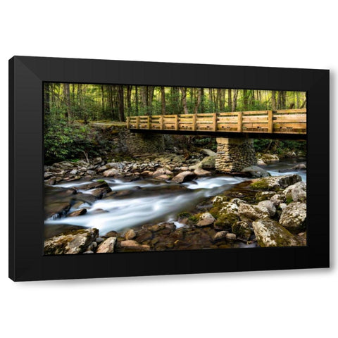 Bridge and Cascade I Black Modern Wood Framed Art Print by Head, Danny
