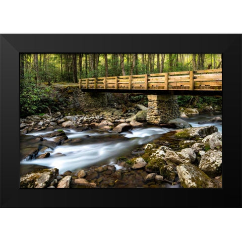 Bridge and Cascade I Black Modern Wood Framed Art Print by Head, Danny