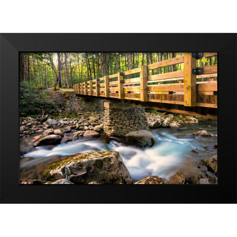 Bridge and Cascade II Black Modern Wood Framed Art Print by Head, Danny