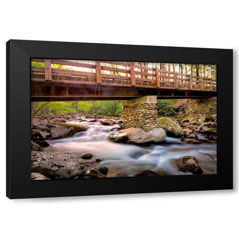 Bridge and Cascade III Black Modern Wood Framed Art Print by Head, Danny