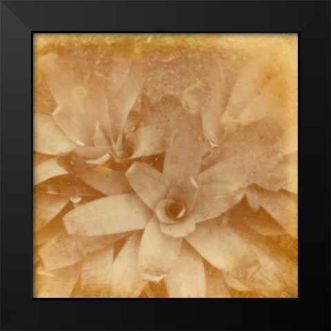 Halia Aloha I Black Modern Wood Framed Art Print by Johnson, Jason