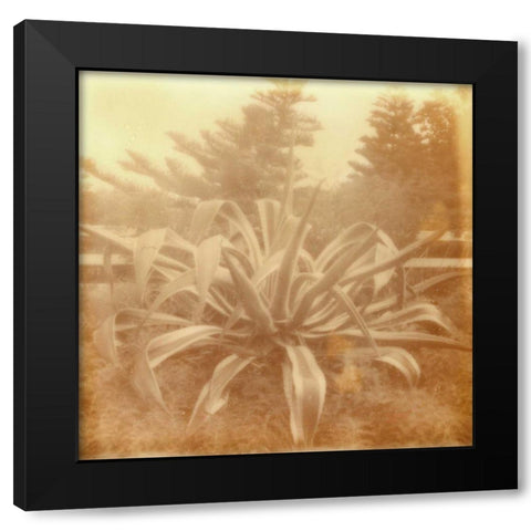 Halia Aloha II Black Modern Wood Framed Art Print by Johnson, Jason