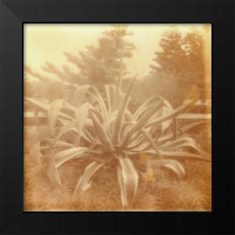 Halia Aloha II Black Modern Wood Framed Art Print by Johnson, Jason
