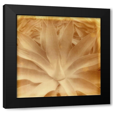 Halia Aloha III Black Modern Wood Framed Art Print by Johnson, Jason
