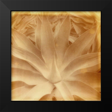 Halia Aloha III Black Modern Wood Framed Art Print by Johnson, Jason